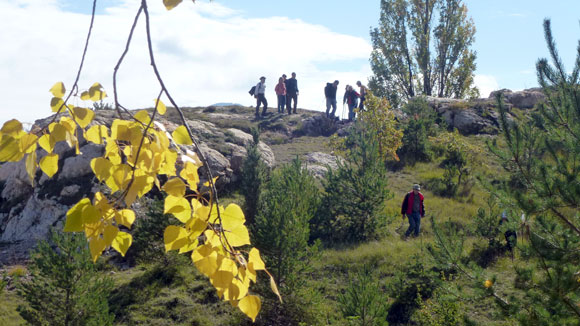 activitats-ven